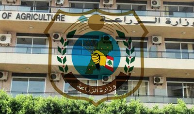 وزير الزراعة تابع مكافحة القطع الجائر للأشجار في فنيدق القموعة - عكار