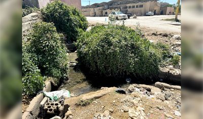 وزارة الزراعة تنهي ملف تلوّث مياه الري الزراعية في بعلبك: المعالجة اكتملت والتزام بالشروط البيئية