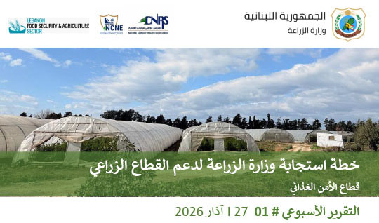 القطاع الزراعي في لبنان في قلب الأزمة: 22% من الأراضي متضرّرة وتهديد مباشر للأمن الغذائي