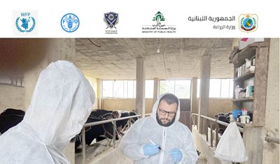 تقرير أسبوعي صادر عن وزارة الزراعة #1: إجراءات الاستجابة للحد من انتشار الحمى القلاعية في لبنان (19 كانون الأول 2025)
