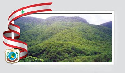 بيان صادر عن وزارة الزراعة حول مشروع قانون الغابات والمراعي