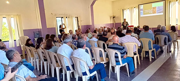 12a.jpg