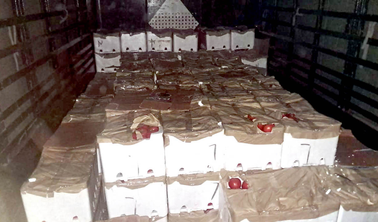 ضبط كميات من البندورة والملبوسات المهرّبة بالتنسيق بين الجمارك ووزارة الزراعة