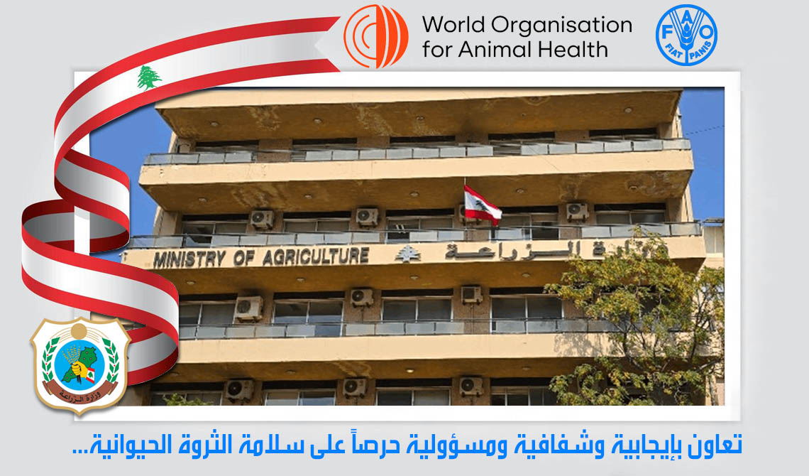 بيان صادر عن وزارة الزراعة حول التداول ونشر أي معلومات أو أخبار أو صور أو مقاطع فيديو تتعلّق بمرض الحمى القلاعية