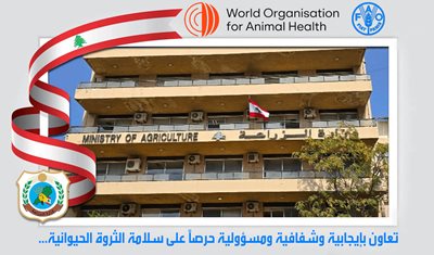 بيان صادر عن وزارة الزراعة حول التداول ونشر أي معلومات أو أخبار أو صور أو مقاطع فيديو تتعلّق بمرض الحمى القلاعية