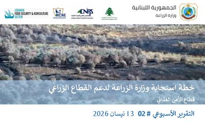 تقرير صادم: 22% من الأراضي الزراعية في لبنان تضررت… والأمن الغذائي في خطر