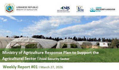 Lebanon’s Agricultural Sector at the Heart of the Crisis: 22% of Land Damaged and a Direct Threat to Food Security