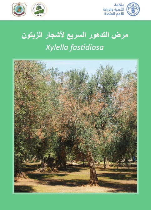  مرض التدهور السريع لأشجار الزيتون Xylella fastidiosa