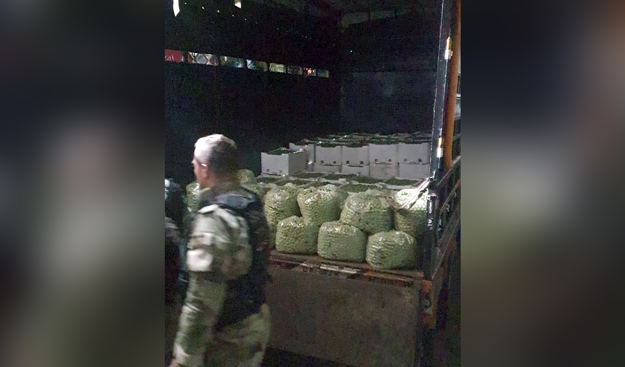 ضبط منتجات زراعية مهرّبة في سوق قب إلياس بالتعاون بين الجمارك ووزارة الزراعة