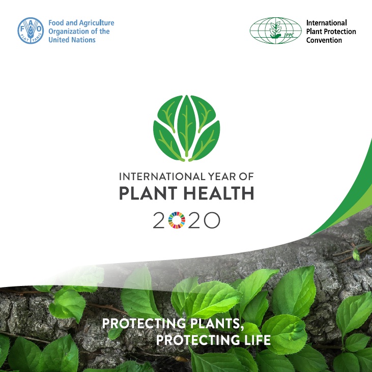 International Year of Plant Health 2020