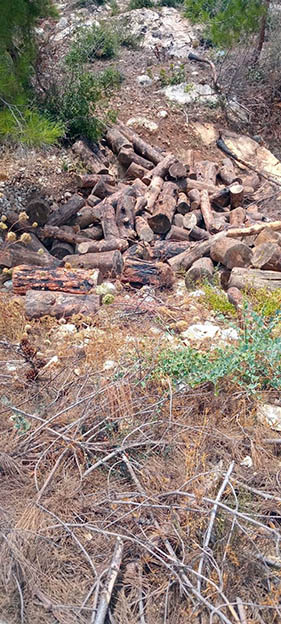6a.jpg