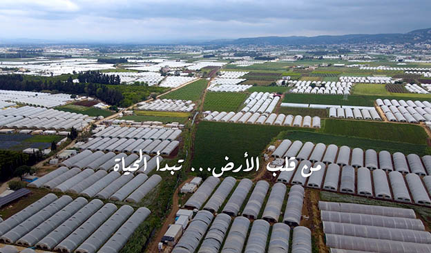 20a.jpg