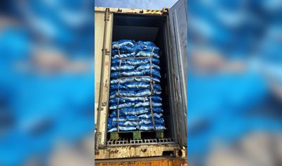 وزارة الزراعة تتدخل لكبح الأسعار: بطاطا بسعر الكلفة لحماية الأمن الغذائي