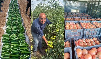 وزارة الزراعة ترصد تطوّر الإنتاج الزراعي في عكار: زيادة تدريجية في إنتاج الخضار واقتراب طرح البطاطا في الأسواق