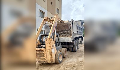 وزارة الزراعة تضبط مخالفات قطع أشجار في أحراج مرجعيون وتصادر نحو خمسة أطنان من الحطب