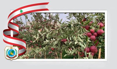 مزارعو قضاء بشري يشكرون وزير الزراعة نزار هاني على قرار وقف استيراد التفاح الأجنبي