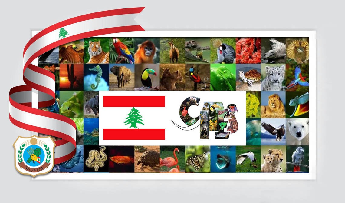 بيان صادر عن وزارة الزراعة – مديرية الثروة الحيوانية – مكتب CITES حول رصد ضباعٍ مخطّطة