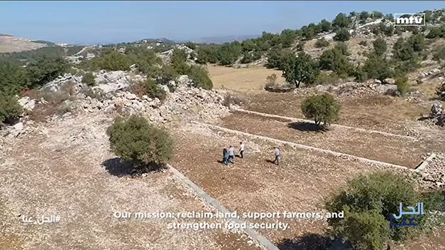 8a.jpg