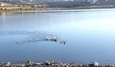 وزارة الزراعة تطلق طيور الوزّ في بحيرة الكواشرة بالتعاون مع الجيش اللبناني وبلدية الكواشرة