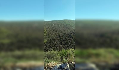 وزارة الزراعة توضح ملابسات الأعمال الجارية في جبال جبيل – رأس أسطا