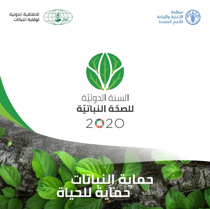 السنة الدولية للصحة النباتية 2020