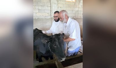 وزارة الزراعة تواصل حملة تحصين الأبقار ضد الحمى القلاعية لليوم الرابع عشر: تلقيح أكثر من 24 ألف رأس بقر في مختلف المناطق اللبنانية