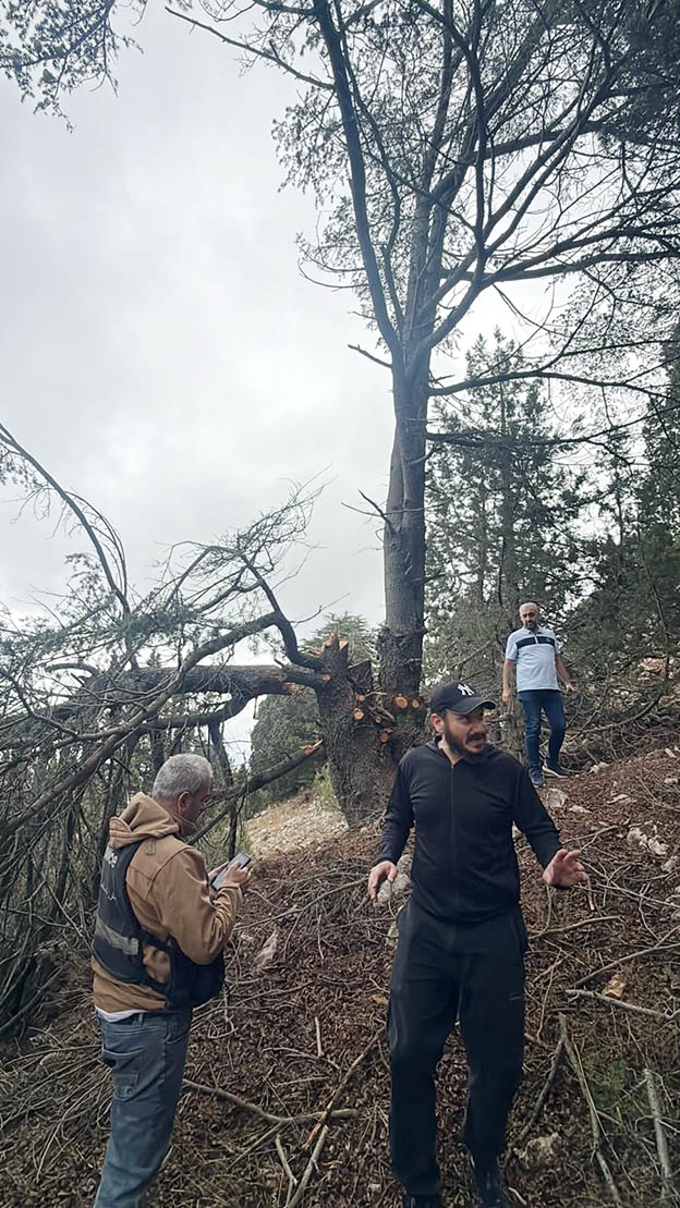 4a.jpg