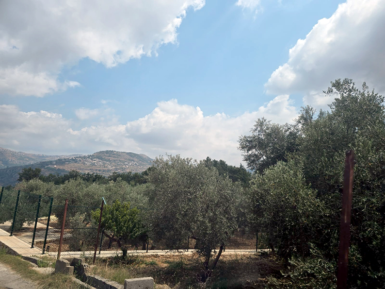 8a.jpg