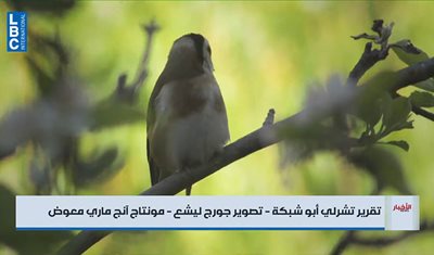 LBCI: غابة العذر… طريق عودة ٥٠٠ حسّون إلى البرّية