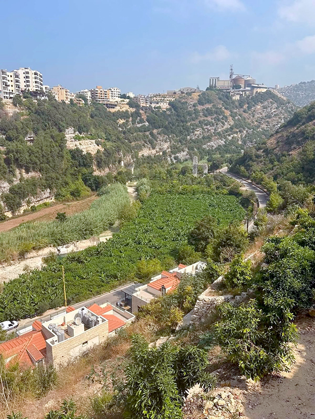 13a.jpg