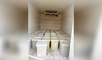 وزارة الزراعة تواصل حملتها الرقابية على قطاع الألبان والأجبان: توقيف أصحاب معامل وإتلاف كميات من المنتجات المخالفة
